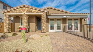 Harlow - Stonehaven Discovery Collection: Glendale, Arizona - Taylor Morrison