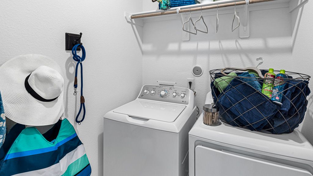 59-TM Cypress-40s Capella Model-20230216