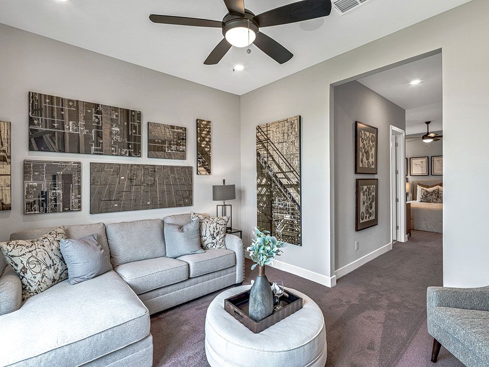 20-TM-Palisade  70s AV Cypress-20221018