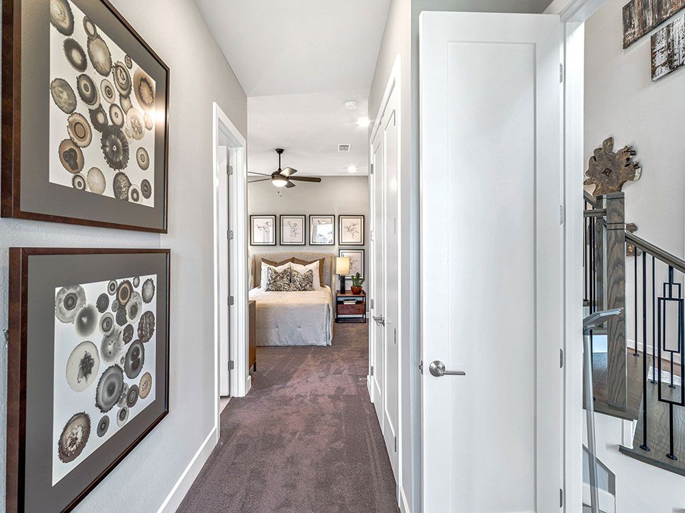 21-TM-Palisade  70s AV Cypress-20221018