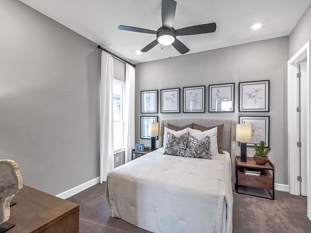 22-TM-Palisade  70s AV Cypress-20221018