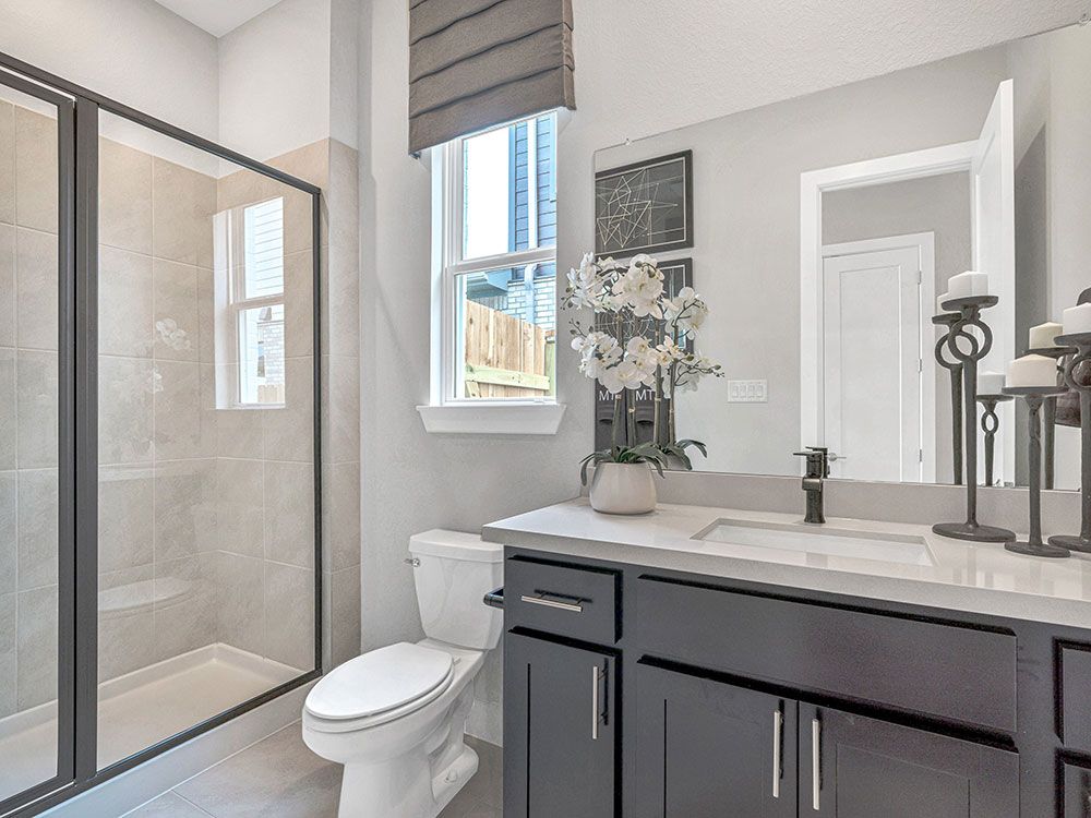 26-TM-Palisade  70s AV Cypress-20221018