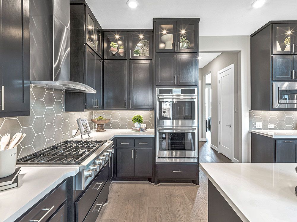 50-TM-Palisade  70s AV Cypress-20221018