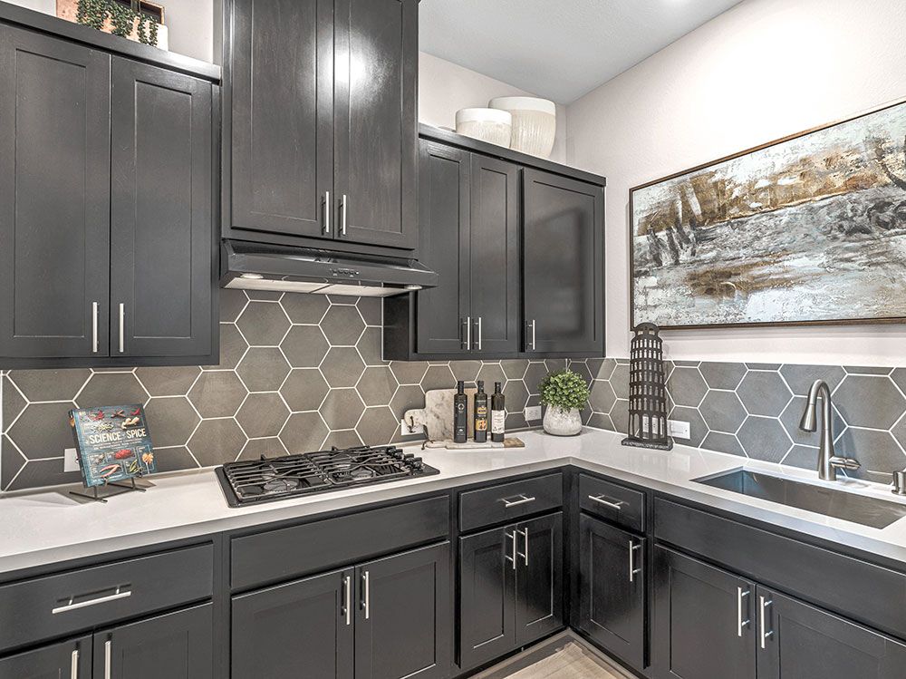 54-TM-Palisade  70s AV Cypress-20221018