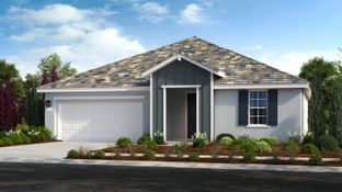 Plan 4 Avery - Homestead at Madeira Ranch: Elk Grove, California - Taylor Morrison