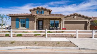Appaloosa - Paradisi Venture II Collection: Surprise, Arizona - Taylor Morrison