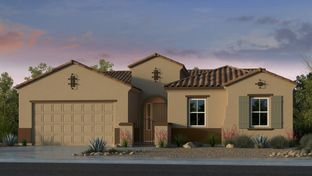 Bradshaw - Allen Ranches Expedition Collection: Litchfield Park, Arizona - Taylor Morrison