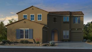 Hampton - Allen Ranches Expedition Collection: Litchfield Park, Arizona - Taylor Morrison