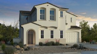 Revere - Allen Ranches Expedition Collection: Litchfield Park, Arizona - Taylor Morrison