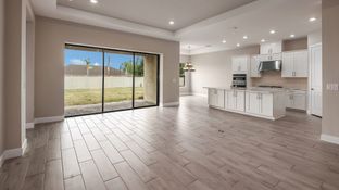 Letizia - Esplanade at Westview: Kissimmee, Florida - Taylor Morrison