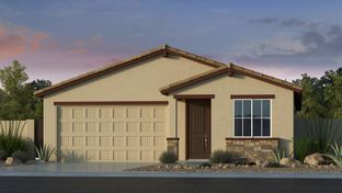 Buckingham - Allen Ranches Discovery Collection: Litchfield Park, Arizona - Taylor Morrison