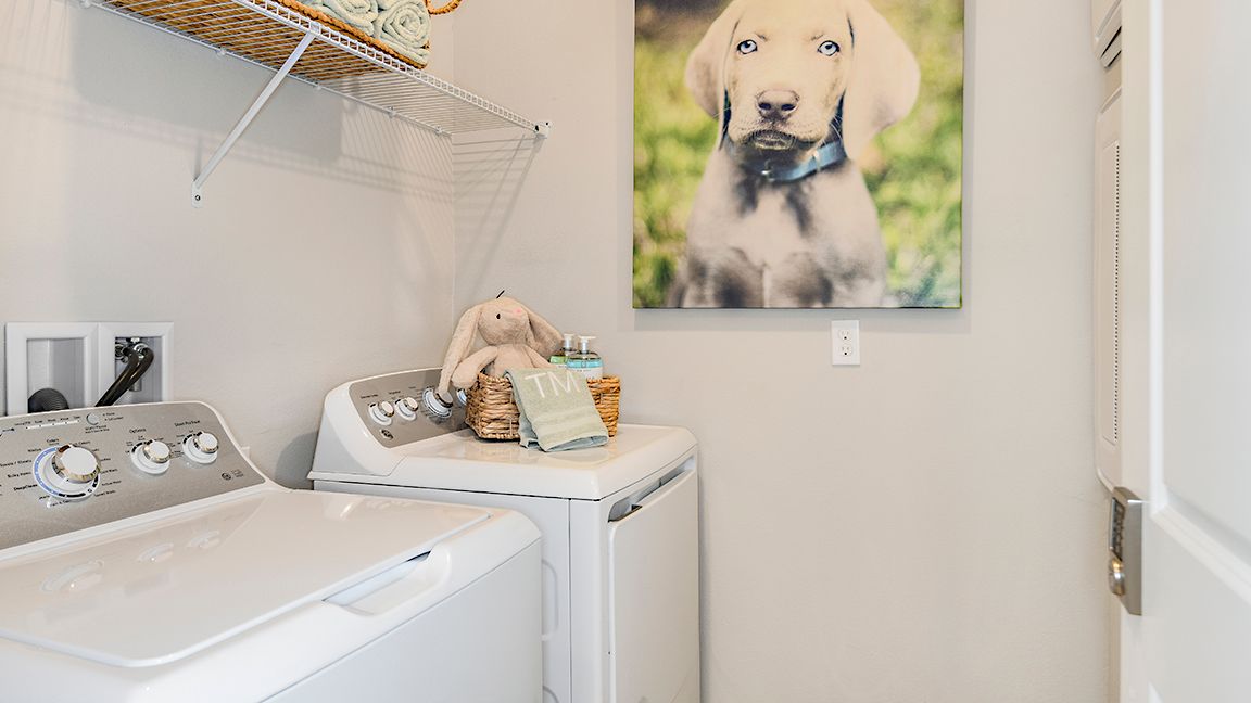 Central Park-Bonaire0492-16x9