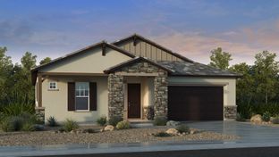 Cambridge - Legado Landmark Collection: Queen Creek, Arizona - Taylor Morrison