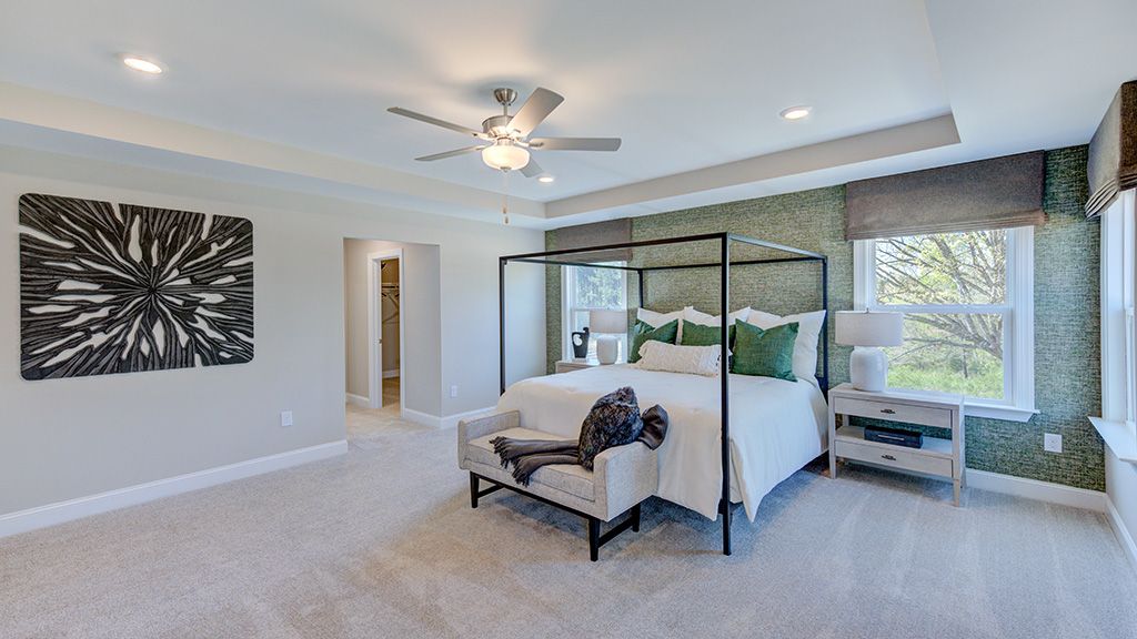 Owner's suite with tray ceiling