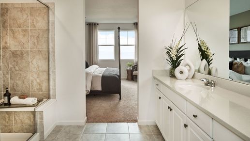 Rocky mountains primary bath