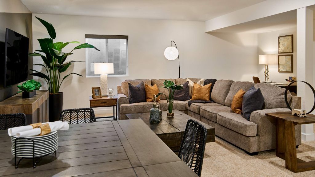 Rocky mountain basement 2