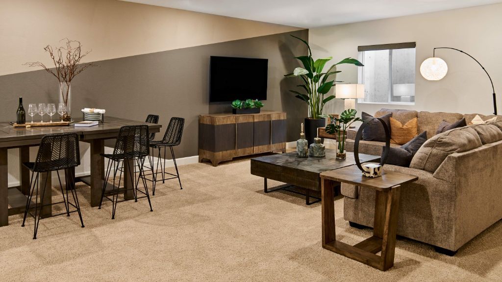 Rocky mountain basement 3