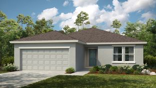 Ambrosia - Brookland Park: Auburndale, Florida - Taylor Morrison