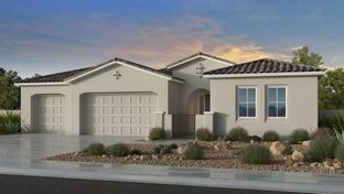 Tyndall - Legado Summit Collection: Queen Creek, Arizona - Taylor Morrison