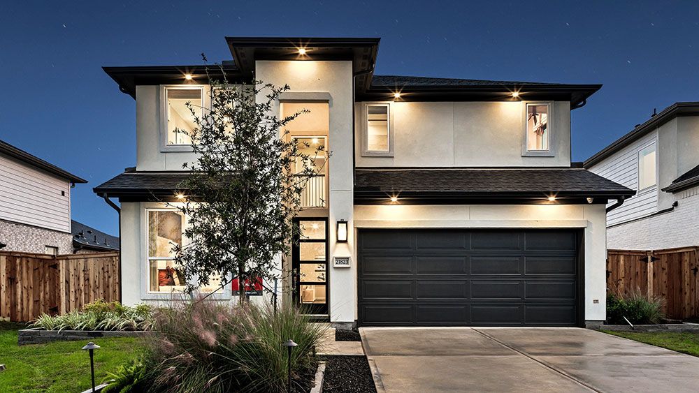 3TM Twilight Camelia 50s20221101