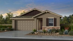 Sandstone - Lucero Discovery Collection: Goodyear, Arizona - Taylor Morrison