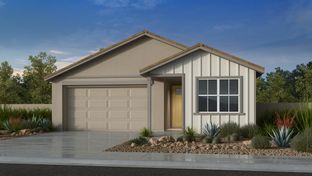 Sandstone - Lucero Discovery Collection: Goodyear, Arizona - Taylor Morrison