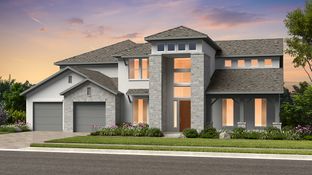 Catalina - Travisso Florence Collection: Leander, Texas - Taylor Morrison