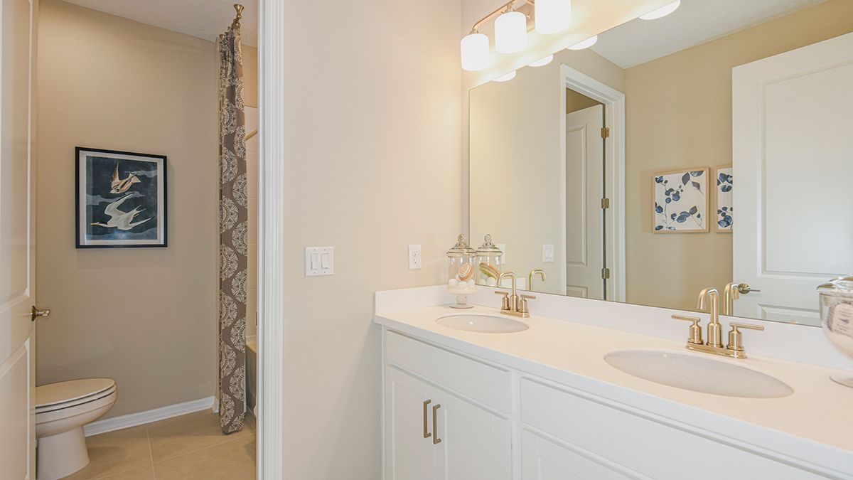 Osprey-Cove-Magdalen-2669-1200x675