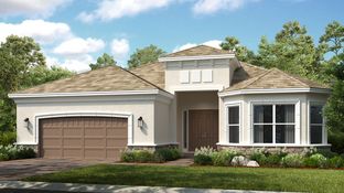 Pallazio - Esplanade at Azario Lakewood Ranch: Lakewood Ranch, Florida - Taylor Morrison