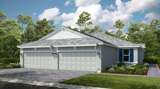 Ibis - Esplanade at Skye Ranch: Sarasota, Florida - Taylor Morrison