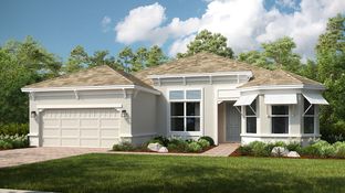 Ambra - Esplanade at Wiregrass Ranch: Wesley Chapel, Florida - Taylor Morrison