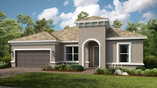 Letizia - Esplanade at Wiregrass Ranch: Wesley Chapel, Florida - Taylor Morrison