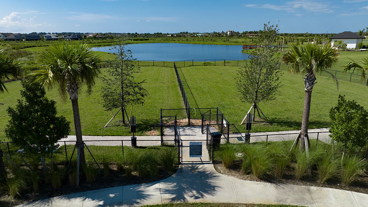 Turner-Park-at-Skye-Ranch-Dog-Park-0496-16x9