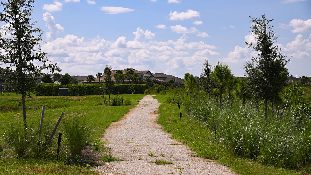 Turner-Park-at-Skye-Ranch-Hiking-Trails-9620-16x9