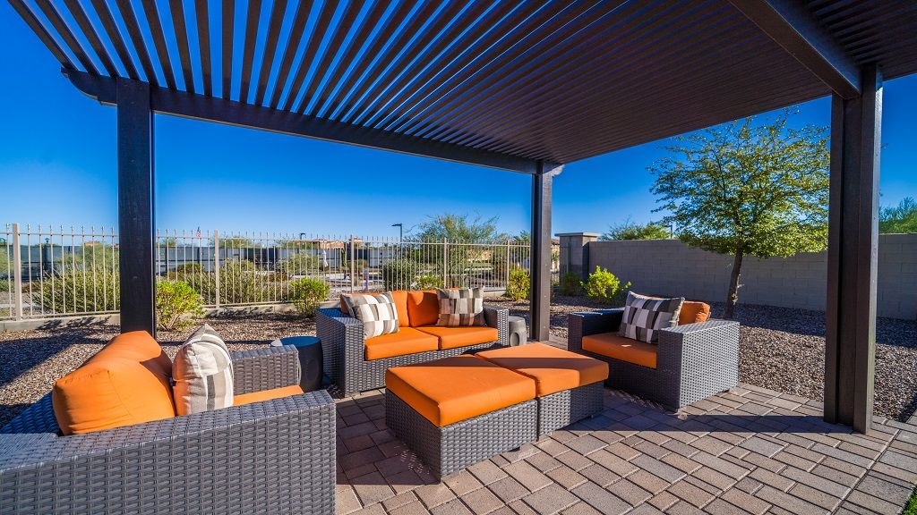 Backyard51