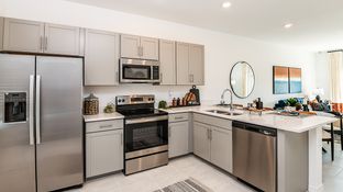 Ivy - The Townhomes at Skye Ranch: Sarasota, Florida - Taylor Morrison