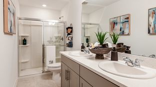 Ivy - The Townhomes at Westview: Kissimmee, Florida - Taylor Morrison