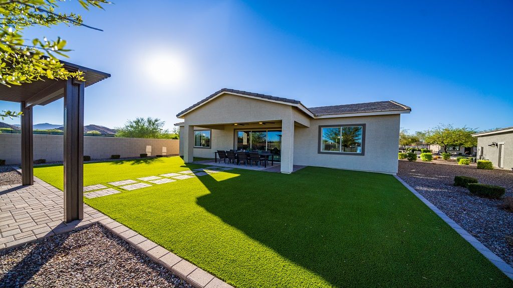 Backyard52