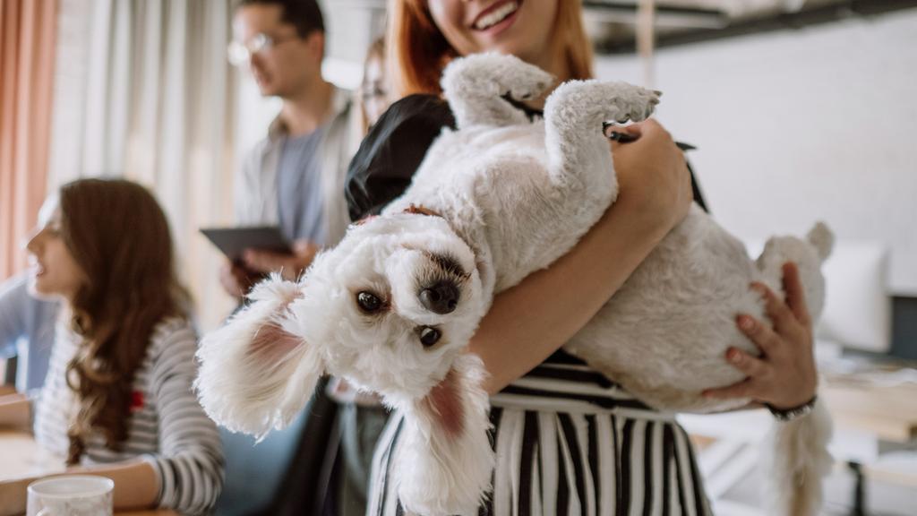 Lifestyle-Lady with Dog
