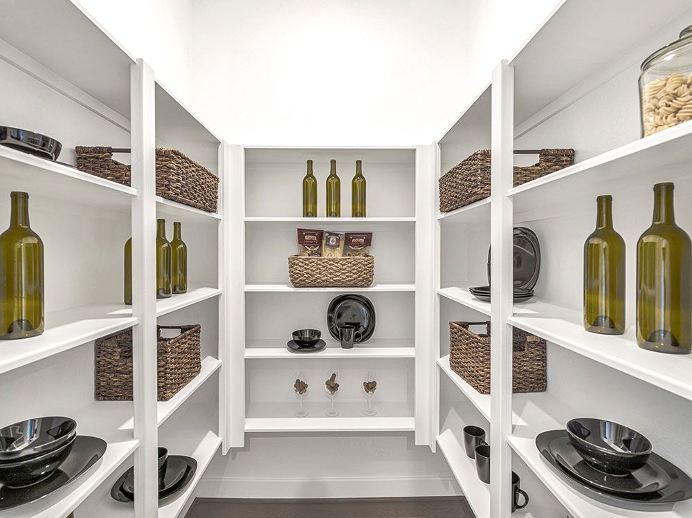 60-TM-Palisade  70s AV Cypress-20221018