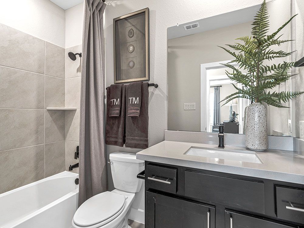 93-TM-Palisade  70s AV Cypress-20221018