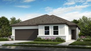 Bosque 2 - Lisso 50s: Pflugerville, Texas - Taylor Morrison