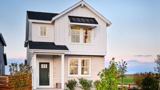 Aurora - The Aurora Highlands Horizon Collection: Aurora, Colorado - Taylor Morrison