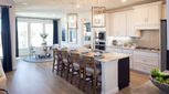 Northlake Estates 65s - Little Elm, TX