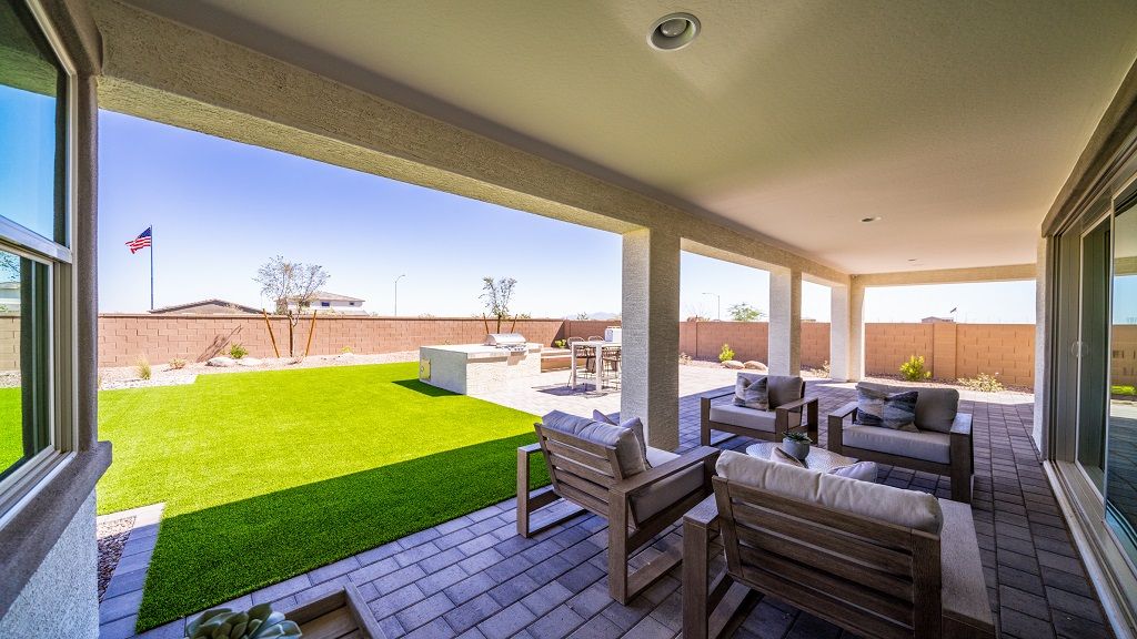 Backyard_1