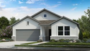Blanco 2 - Lisso 50s: Pflugerville, Texas - Taylor Morrison