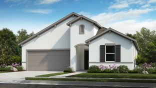 Blanco 2 - Lisso 50s: Pflugerville, Texas - Taylor Morrison