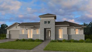 Tortuga - Travisso Florence Collection: Leander, Texas - Taylor Morrison
