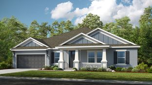 Abaco - Ardisia Park: New Smyrna Beach, Florida - Taylor Morrison