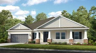 Abaco - Ardisia Park: New Smyrna Beach, Florida - Taylor Morrison